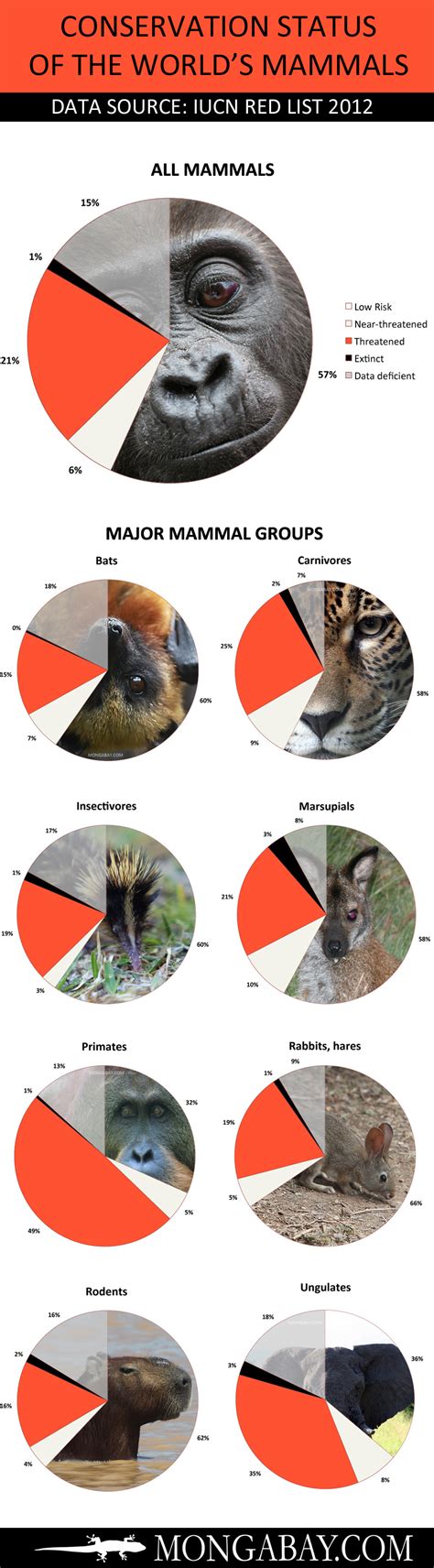 CHART: endangered mammals