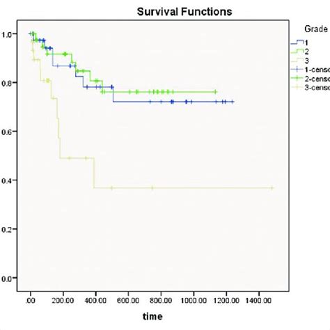 Kaplan Meier Survival Curves Illustrating The Significance Of