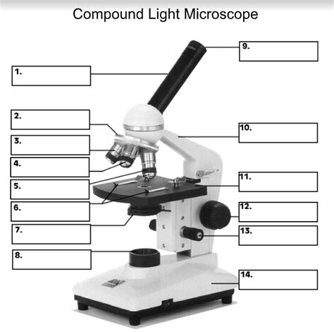 Compound Microscope Part 2 Diagram Quizlet