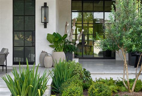 5 plants to display on your doorstep to elevate your front door | Livingetc