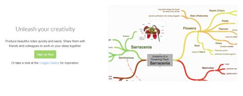 Aplikasi Mind Mapping Gratis Untuk Mendukung Brainstorming