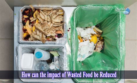 How can the impact of wasted food be reduced