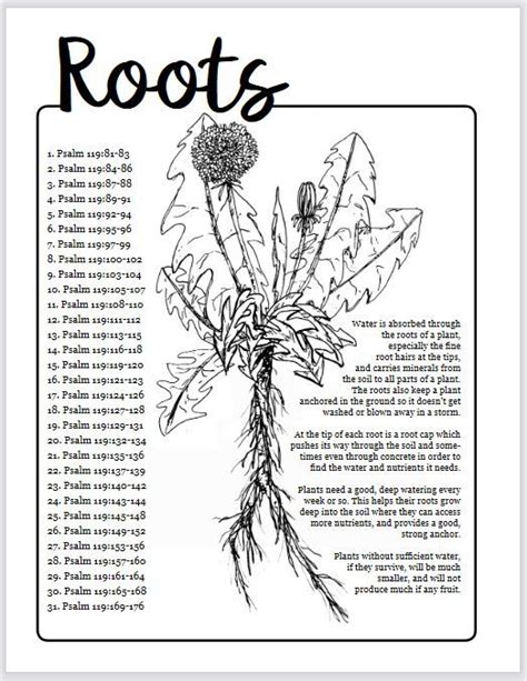 Scripture Writing Plan Magnify Him Together