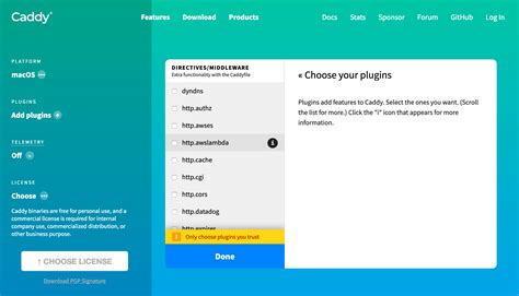 Serve Docker Containers With A Custom Domain and SSL with Caddy