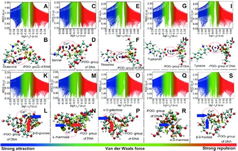 Model Computation Of The Interaction Of The Poo Group Of Dna With