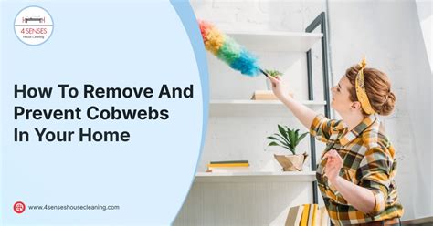 How To Remove And Prevent Cobwebs In Your Home | 4 Senses House Cleaning
