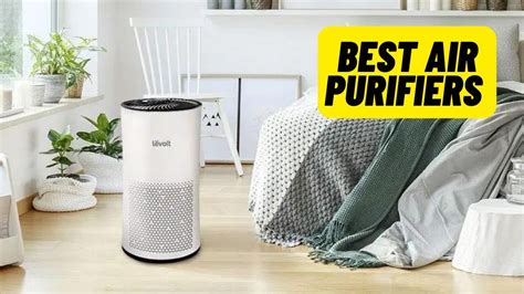 Best Air Purifiers For The Money 2023 Top 5 Best Air Purifiers Review