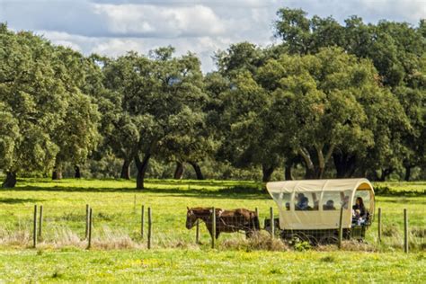 Visita Quinta Da Lagoalva Prova De Vinho E Passeio De Charrete