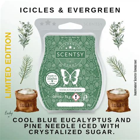 Icicles Evergreen Scentsy Bar The Candle Boutique Scentsy Uk