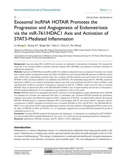 PDF Exosomal LncRNA HOTAIR Promotes The Progression And Angiogenesis