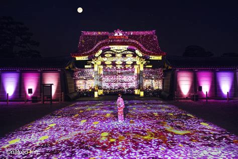 京都 NAKED桜まつり 2024 世界遺産二条城 Eチケット楽天トラベル 観光体験