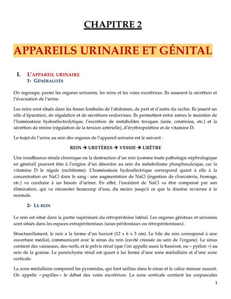 ANATOMIE DE L APPAREIL URO GÉNITAL CHAPITRE 2 APPAREILS URINAIRE ET