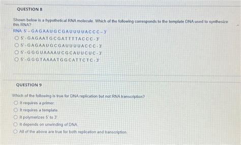 Solved Shown Below Is A Hypothetical Rna Molecule Which Of Chegg