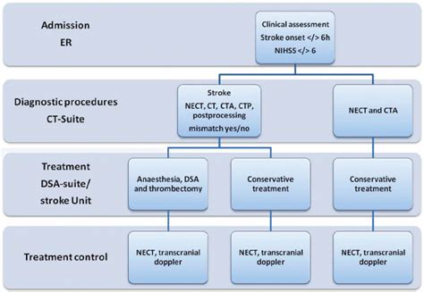 Pathophysiology Of Ischemic Stroke Flowchart Chart Examples