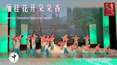 🌻青春岁月，芳华妙龄🌷《缅桂花开》（学习版）中国故事中国年，yangyangdancestudio，yyds 2020 Youtube