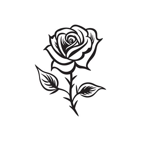 Rose flower Vector Images and Illustration 35487490 Vector Art at Vecteezy