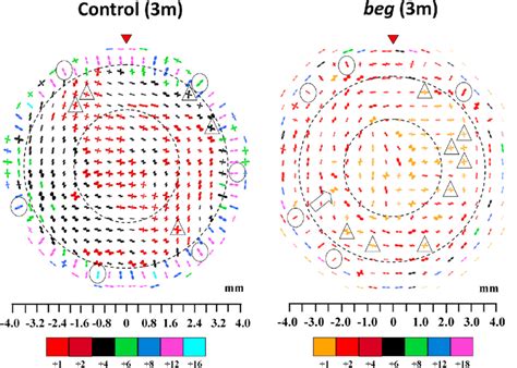 Preferred Orientation Of Collagen Fibrils In The Cornea And Limbus Of