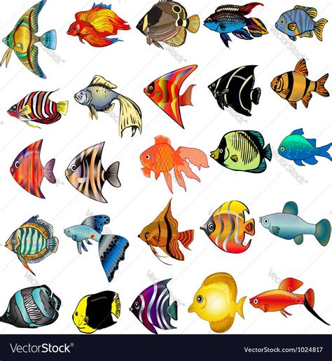 Vector Image Of Tropical Fish Set Vector Image Includes Design Themes