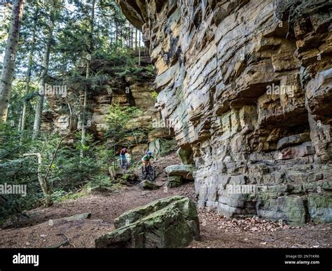 E Motard De Montagne Sur Un Seul Sentier Dans Le Mullerthal Chemin