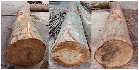 Applied Sciences Free Full Text The Impact Of The Log Sawing Patterns On The Quantitative