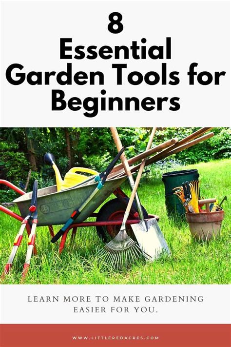 Essential Garden Tools For Beginners