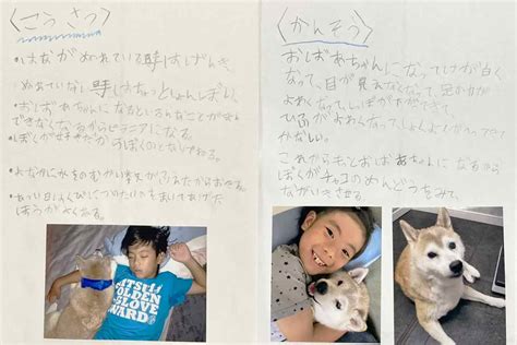 小2の自由研究が絵本に。16歳の愛犬チャコと暮らす犬好き家族の、当たり前の日常ワンクォール