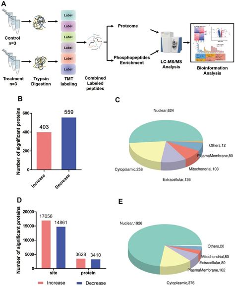 Global Proteomic And Phosphoproteomic Analysis Of Colorectal Cancer