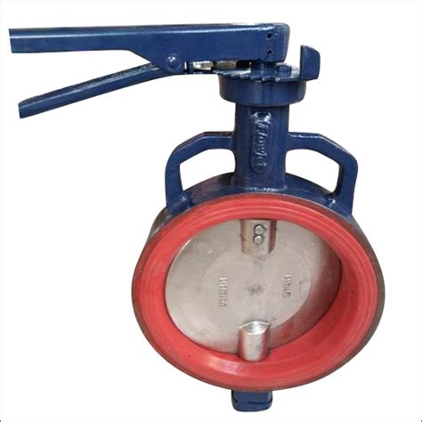 Blue Flanged Butterfly Valve At Best Price In Ahmedabad Flowjet