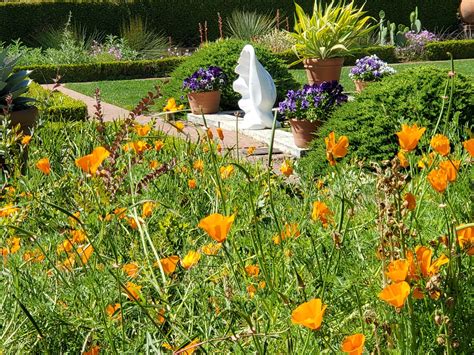 Sunken Garden | Filoli