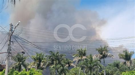 Casi 4 Mil Hectáreas Han Sido Consumidas Por Incendios En Nayarit