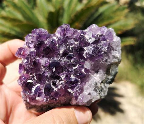 Purple Amethyst Mineralitum Exclusive Minerals Online Mineral Shop