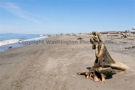 Olympic Peninsula Washington Photographs