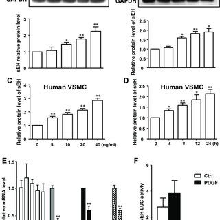 Platelet Derived Growth Factor Pdgf Induces Seh Expression In Rat And