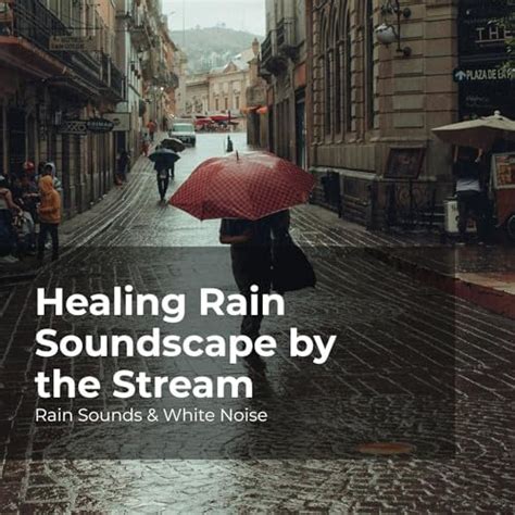 Écouter Healing Rain Soundscape By The Stream De Rain Sounds And White