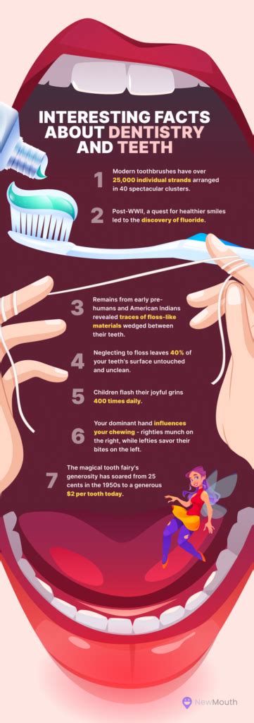 39 Fun And Interesting Facts About Dentistry And Teeth