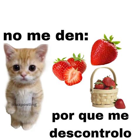 Pin De Dokja🦑 En Guardado Rápido Frases De Fresas Imágenes Graciosas Imágenes Divertidas