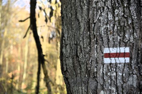 Wysoczyzna Elbl Ska Od A Do Z S Jak Szlak Kopernikowski Dziennik