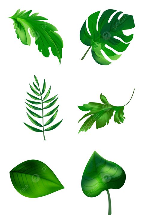 Gambar Desain Isolasi Daun Hijau Daun Hijau Isolasi Rancangan Png