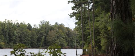 Falls Lake State Recreation Area/Campground, Wake Forest, NC – Wards on the Move