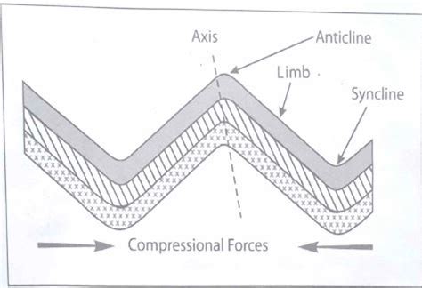 Using well labelled diagrams, distinguish between a simple symmetrical ...