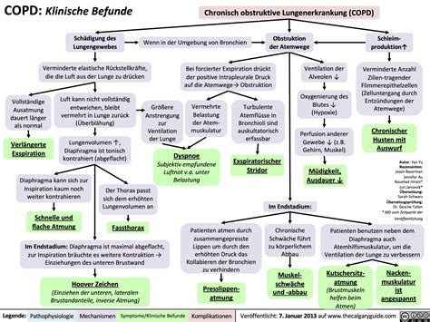 COPD Klinische Befunde Calgary Guide