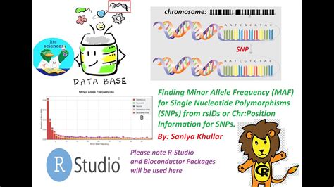 Finding Minor Allele Frequency Maf For Snp Genetic Variants From