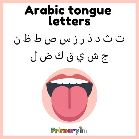 Tongue letters in Arabic - Primary Ilm