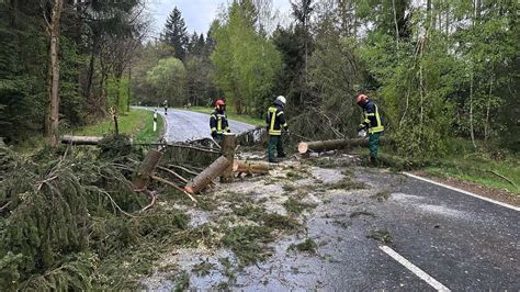 Sturm Bäume stürzen auf mehrere Straßen