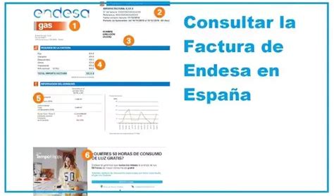 Factura de Endesa Consultas en España Dudas frecuentes 2024