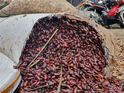 sau tran ngap lich su tieu thuong cho vinh vua meu khoc vua hot tung