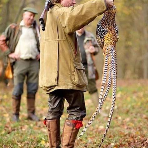 Pheasant Hunting Looks So Regal And Distinguished Hunting Bird Hunting Pheasant Hunting