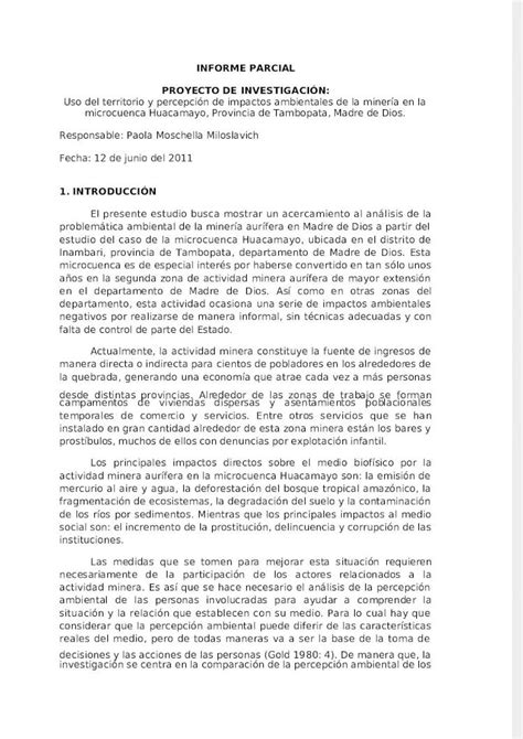 PDF Informe Parcial Impactos Ambientales Minería y Percepción