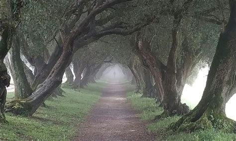 pin  helga lilli  baum  beautiful places country roads places