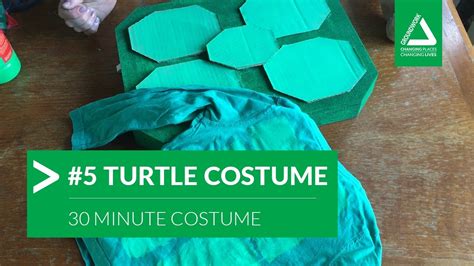 Diy Turtle Costume